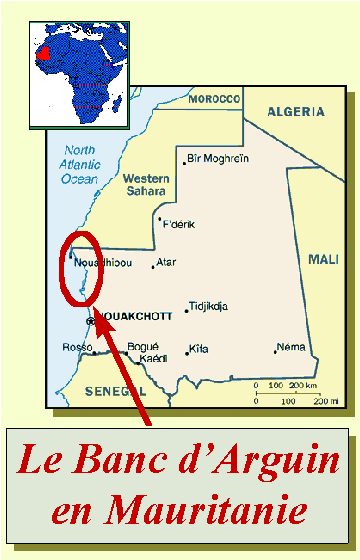 Situation du Banc d'Arguin en Mauritanie